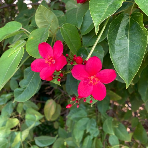 Meet your Posher, Gayle - Picture 1 of 1